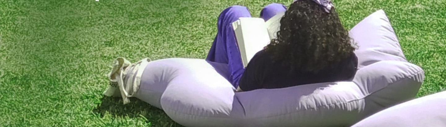 Biblioteca no Jardim já abriu ao público