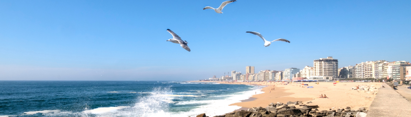Apresentação do projeto europeu RISE-IN – Resilient and Innovative Solutions for the Environment