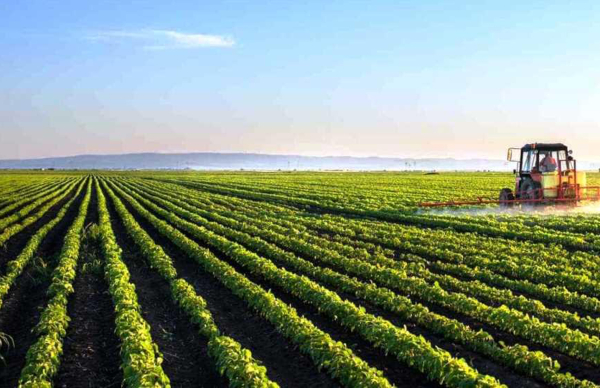 Candidaturas abertas para Investimentos na Exploração Agrícola