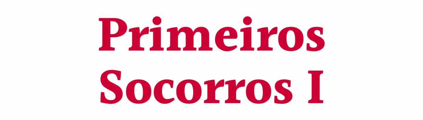 Sessão "Primeiros Socorros I"