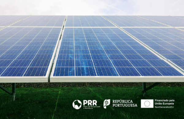 Aviso Linha "Reindustrializar": candidaturas abertas