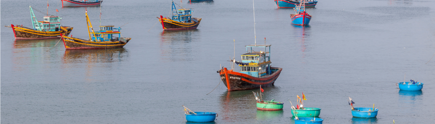 Segurança alimentar e transformação dos produtos de pesca e aquicultura