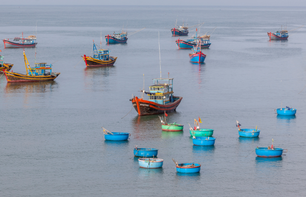 Segurança alimentar e transformação dos produtos de pesca e aquicultura
