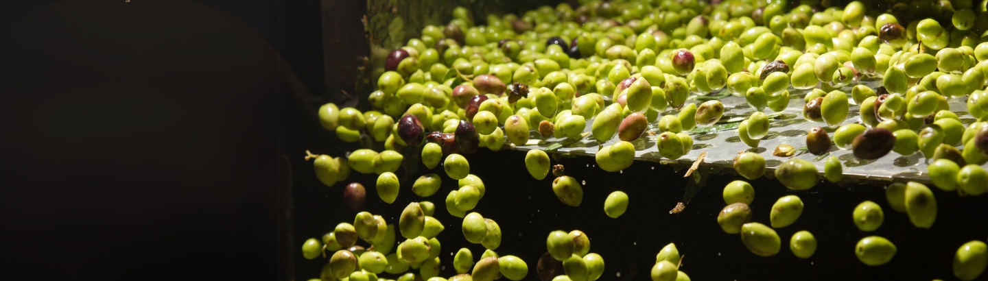 Candidaturas abertas para apoio ao desenvolvimento de Bioeconomia