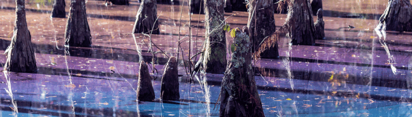 ClimAccelerator 2026: Open Call para Organizações de Apoio ao Empreendedorismo Focadas em IA e Deep-Tech para Impacto Climático