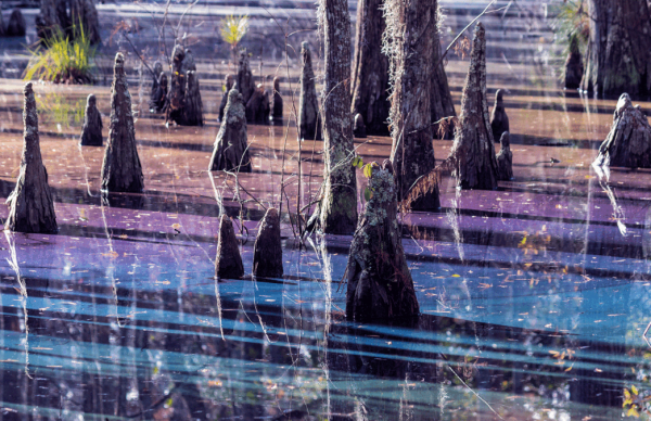 ClimAccelerator 2026: Open Call para Organizações de Apoio ao Empreendedorismo Focadas em IA e Deep-Tech para Impacto Climático