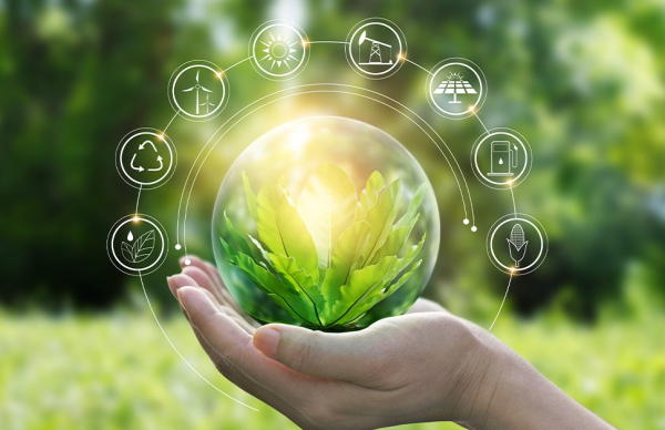 Espaço Empresa alerta para workshop de inovação no cálculo da pegada de carbono