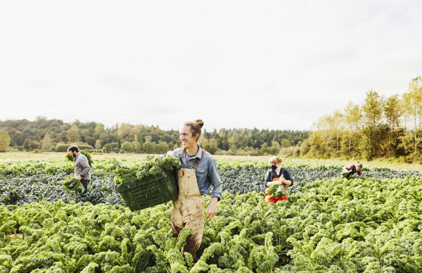 2.º Concurso da Parceria Europeia FutureFoodS