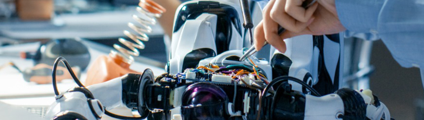 Candidaturas abertas ao Concurso de Projetos I&D em todos os Domínios Científicos 2025