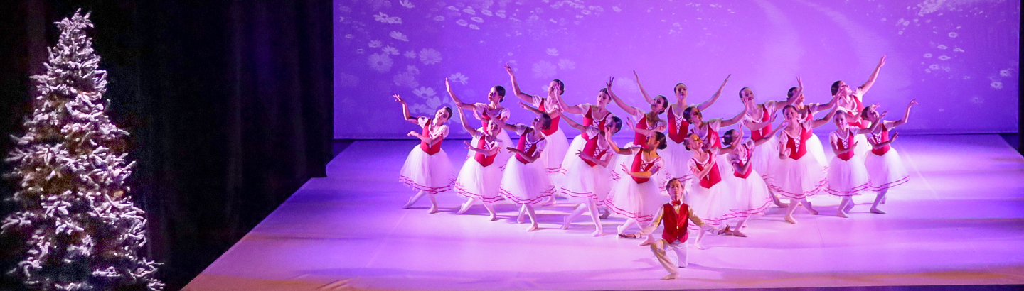 Magia de Willy Wonka chegou à Póvoa de Varzim