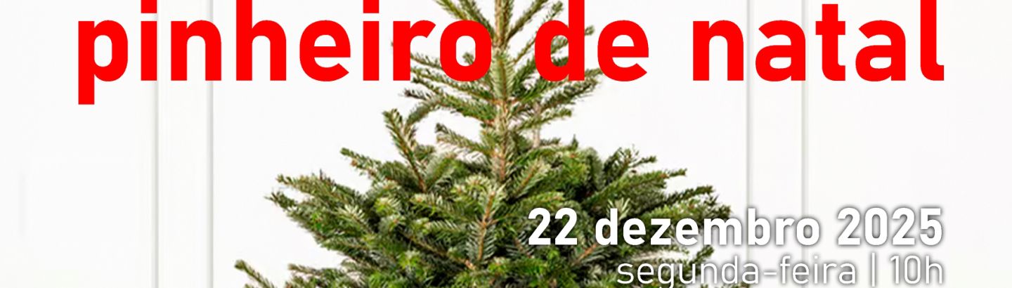 Oficinas natalícias para as férias escolares na Biblioteca