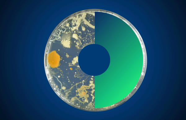 Parceria Europeia One Health – Antimicrobial Resistance lança o 1º Concurso Transnacional