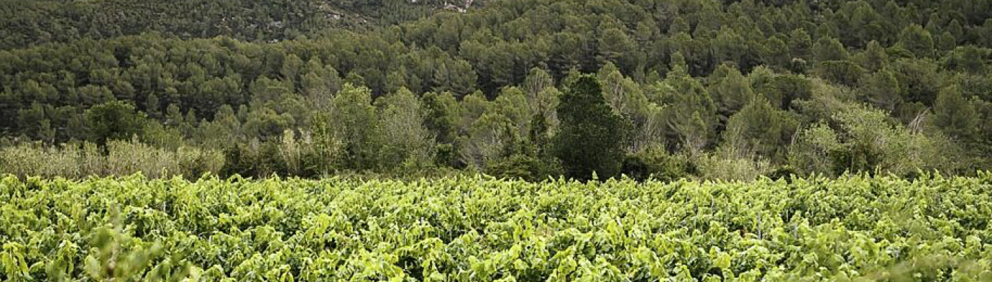 EIT Food lança call para startups testarem soluções agrícolas e de aquacultura em contexto real