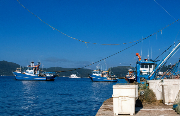 Cessação temporária das atividades de pesca