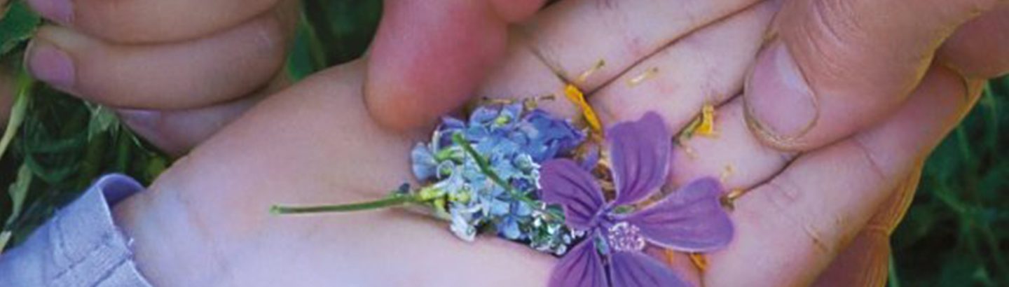 Cinema “Histórias do Vale Bom”