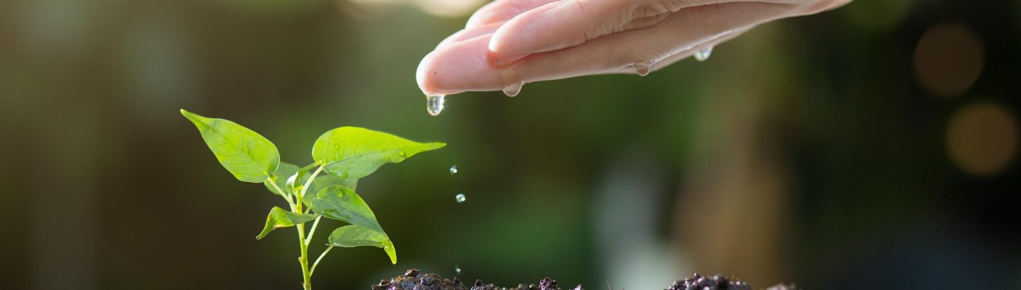 Como reduzir a Pegada Ambiental