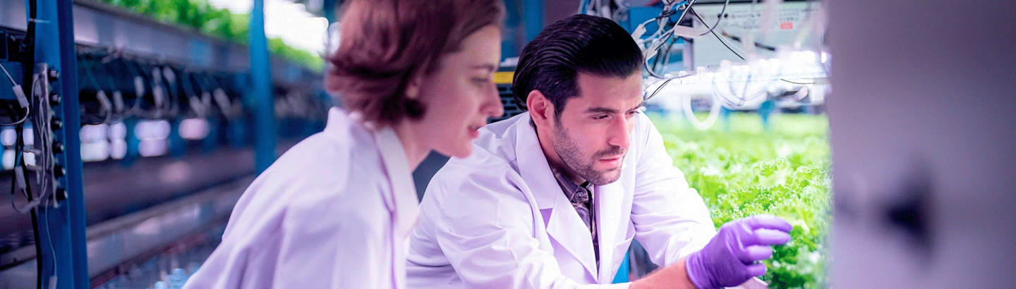 EIT Food RisingFoodStars 2026 abre candidaturas para atribuição de selo de reconhecimento