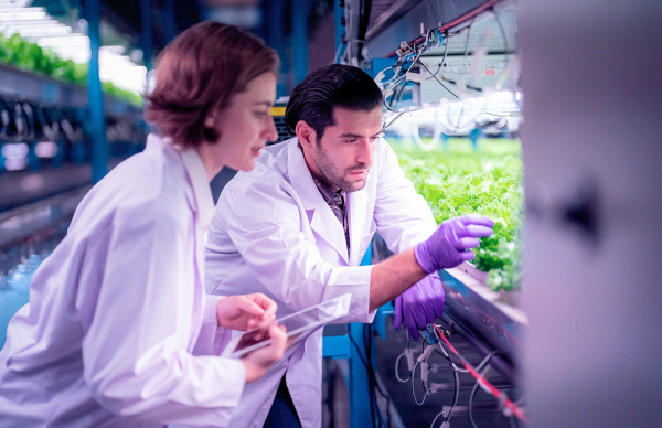 EIT Food RisingFoodStars 2026 abre candidaturas para atribuição de selo de reconhecimento