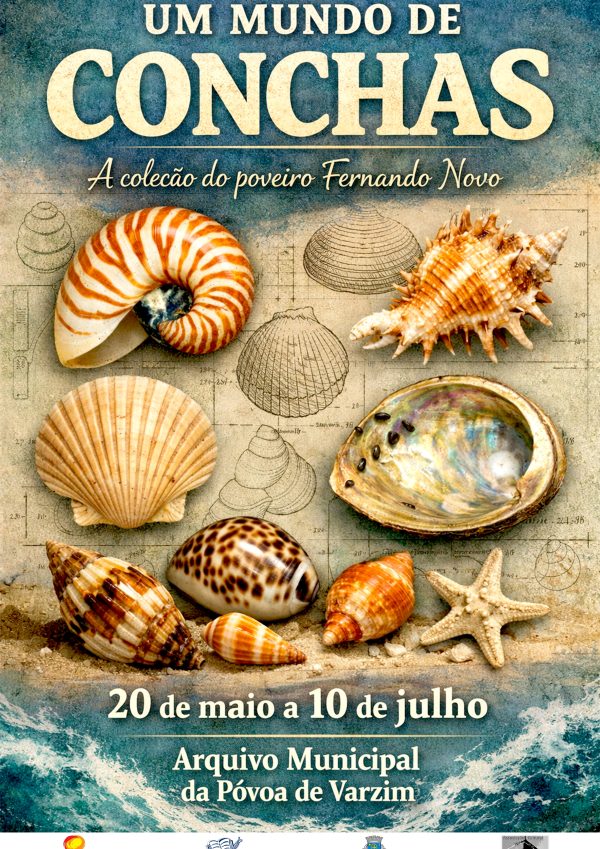 Exposição “Um mundo de conchas – A coleção do poveiro Fernando Novo”