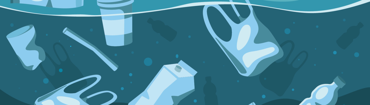 Mega Limpeza de Praia