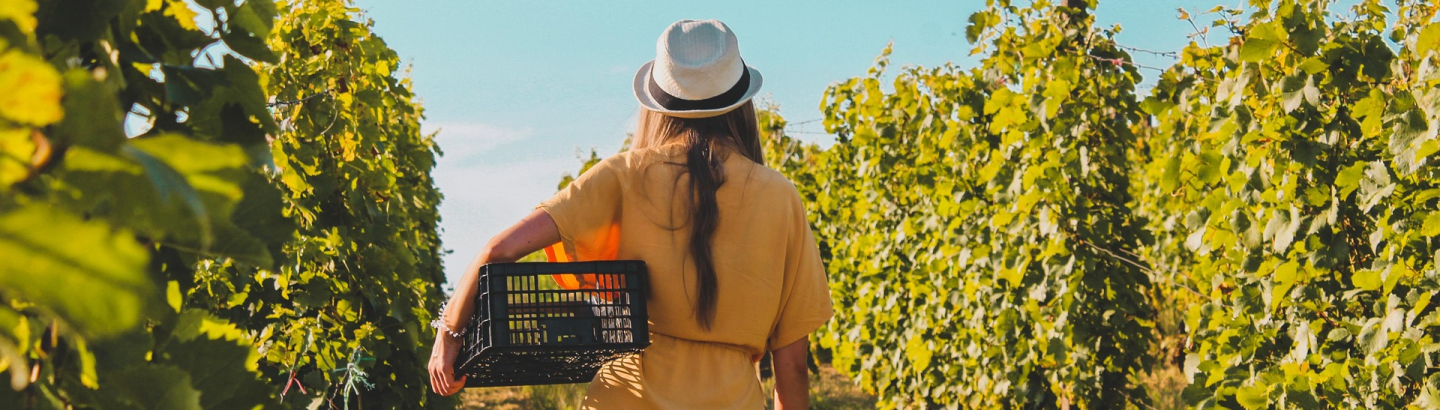 Programa EWA para apoiar mulheres empreendedoras no setor agroalimentar