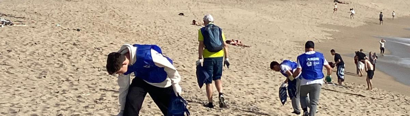 Voluntários contribuem para a limpeza das nossas praias
