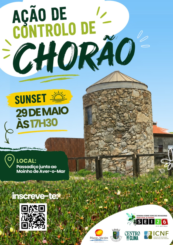 Ação de controlo de chorão