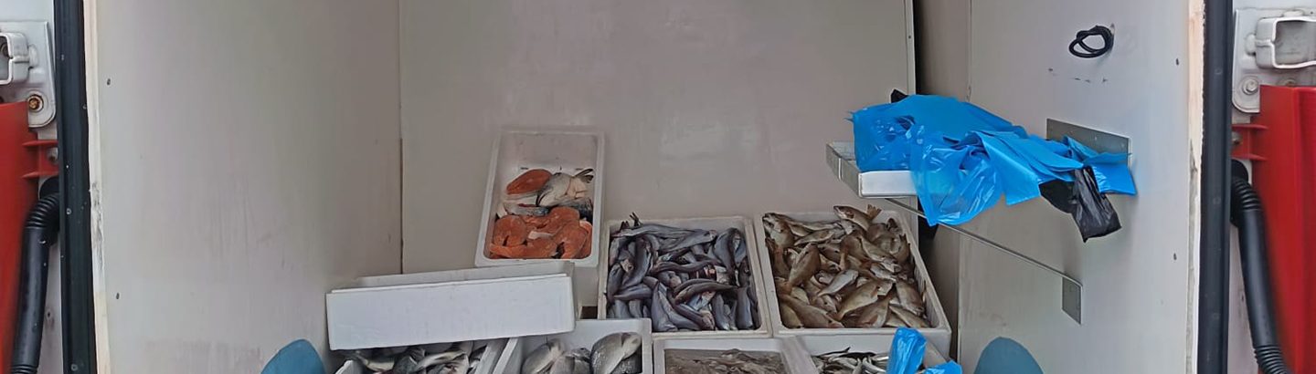 Câmara Municipal reforça fiscalizações e ajuda a apreender cerca de 200 quilos de pescado ilegal