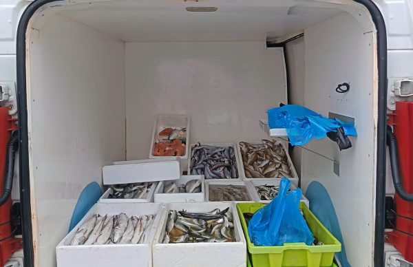 Câmara Municipal reforça fiscalizações e ajuda a apreender cerca de 200 quilos de pescado ilegal