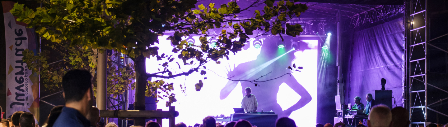 Festival Emerge, um evento de referência no verão poveiro