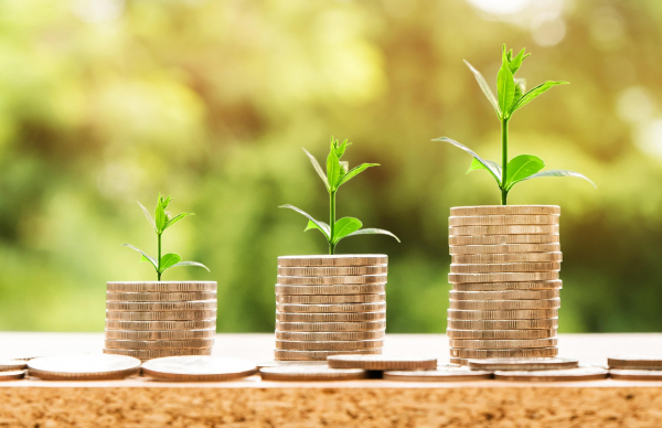 Formação Financeira online e gratuita a partir de 28 de setembro
