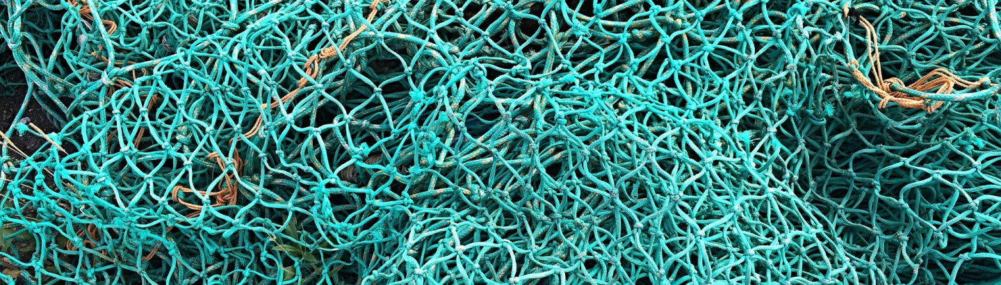 Regime de apoio específico para compensar operadores do setor das pescas e da aquicultura
