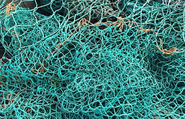 Regime de apoio específico para compensar operadores do setor das pescas e da aquicultura