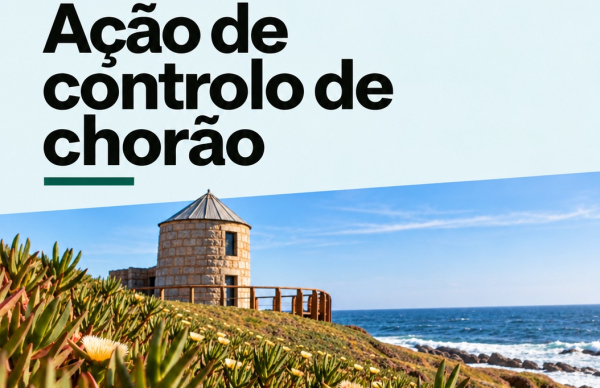 Ação de controlo de chorão